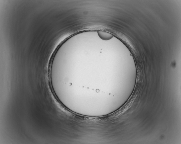 X0000100351087200806060755