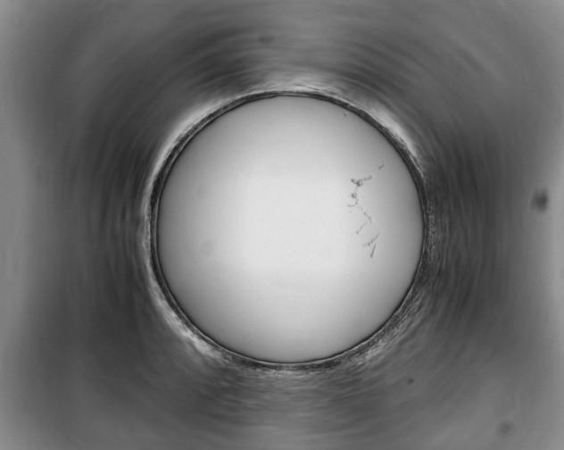 X0000100351088200806060755