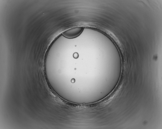 X0000100351089200806060755