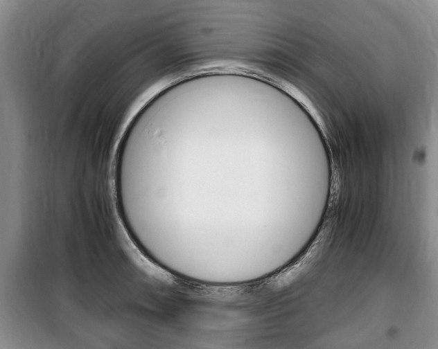 X0000100351090200806060755