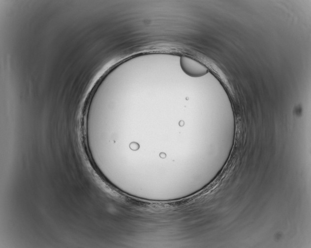 X0000100351091200806060755