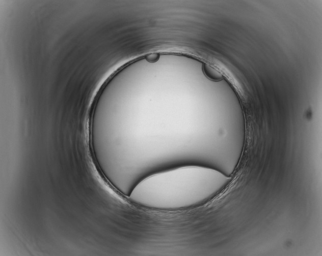 X0000100351092200806060755