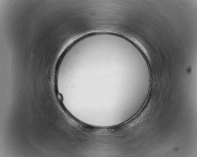 X0000100351093200806060755