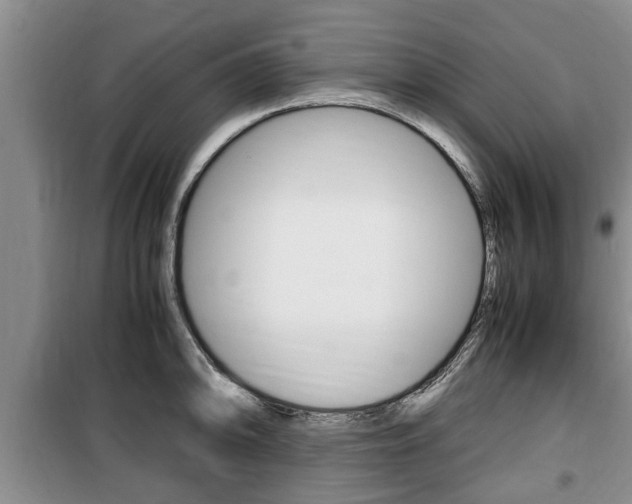 X0000100351094200806060755