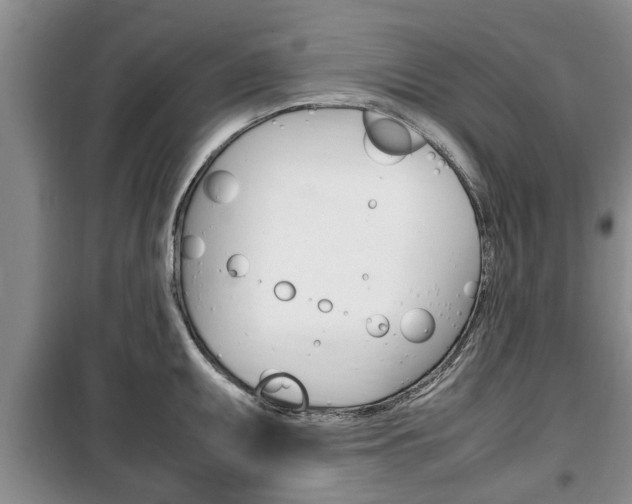 X0000100351095200806060754