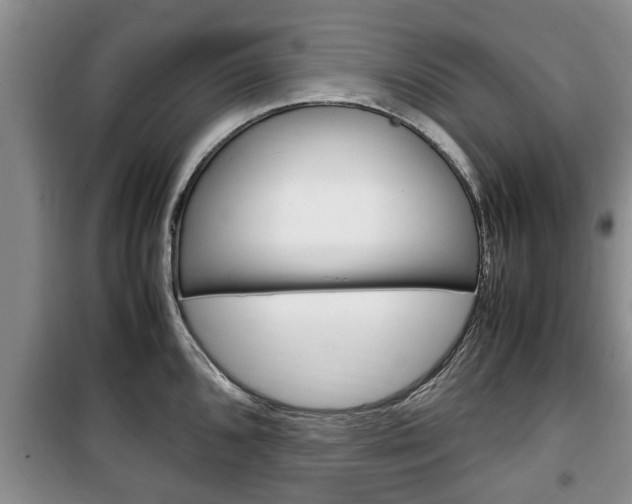 X0000100351096200806060754