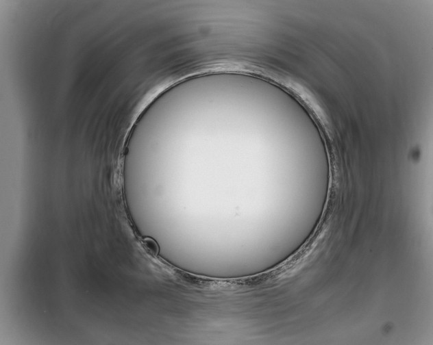 X0000100351097200806060754