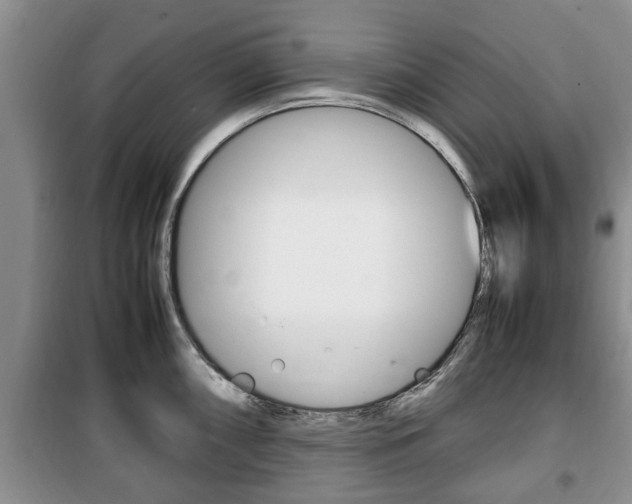 X0000100351098200806060754