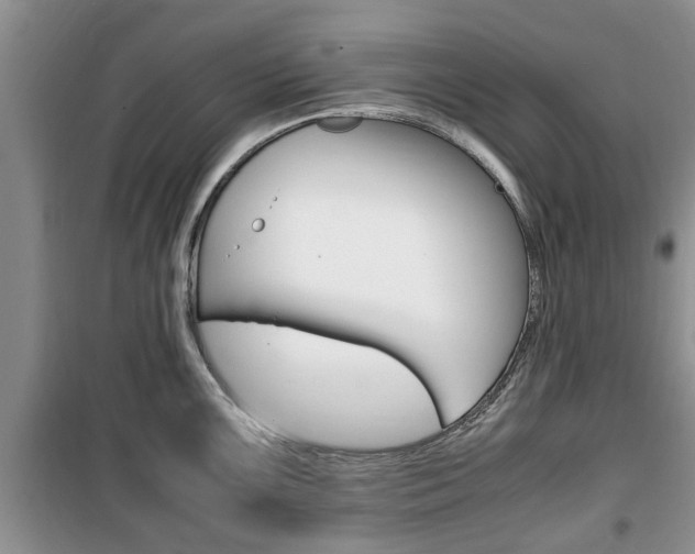 X0000100351099200806060754