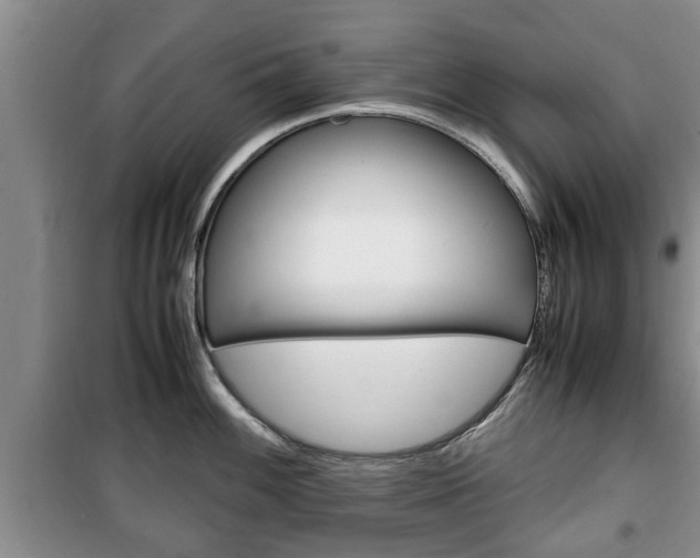 X0000100351100200806060754