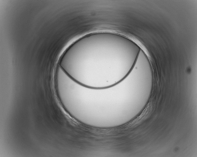 X0000100351101200806060754