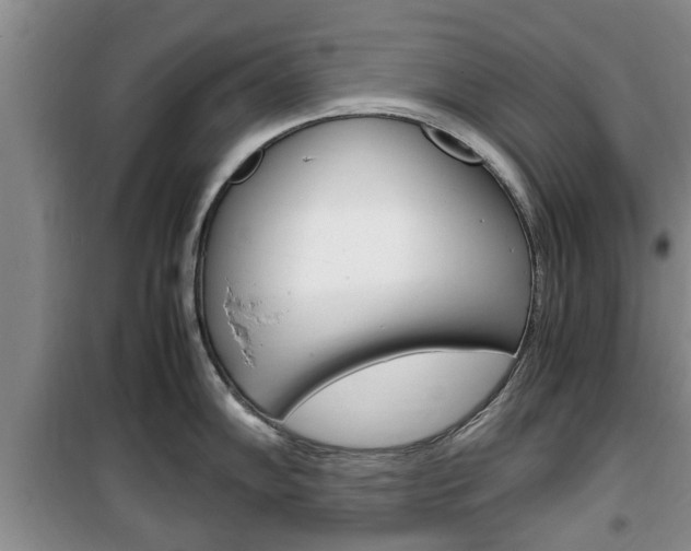 X0000100351102200806060754