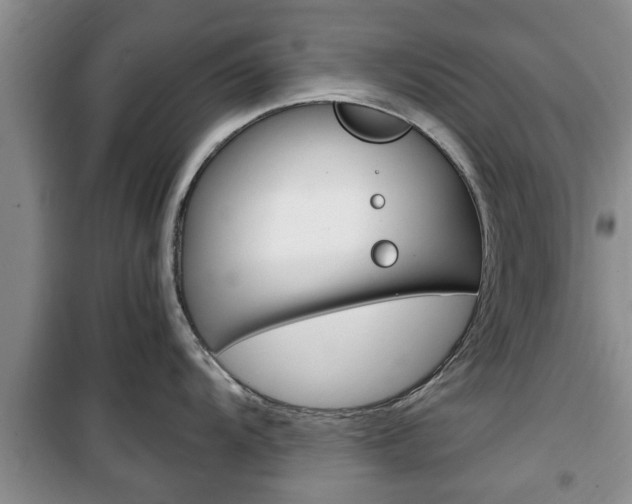 X0000100351104200806060754