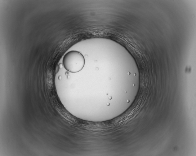 X0000100351106200806060753