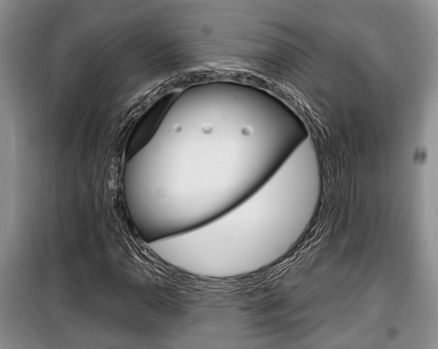 X0000100351110200806060753