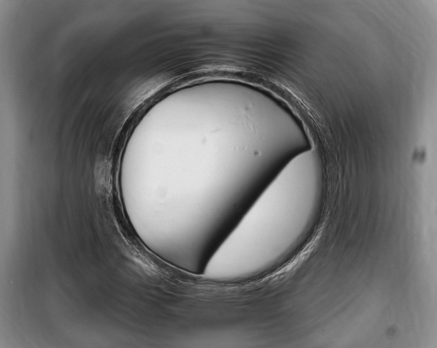 X0000100351113200806060754