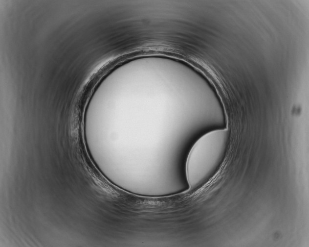 X0000100351115200806060754