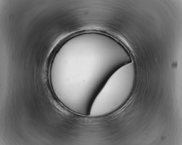 X0000100351116200806060754