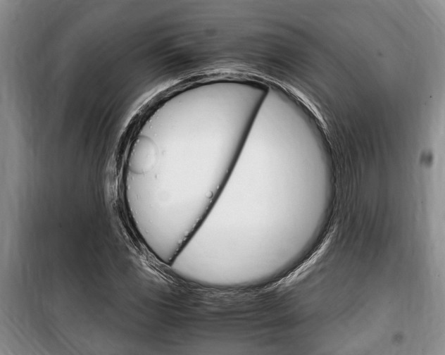 X0000100351117200806060754