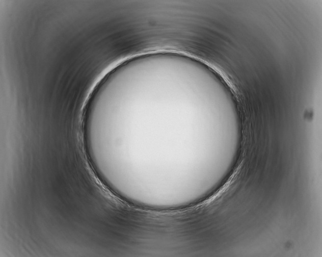 X0000100351118200806060754