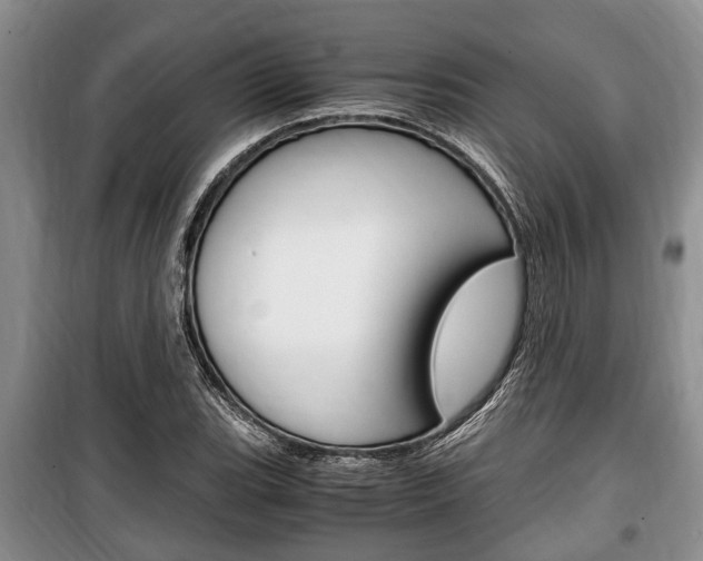 X0000100351119200806060754