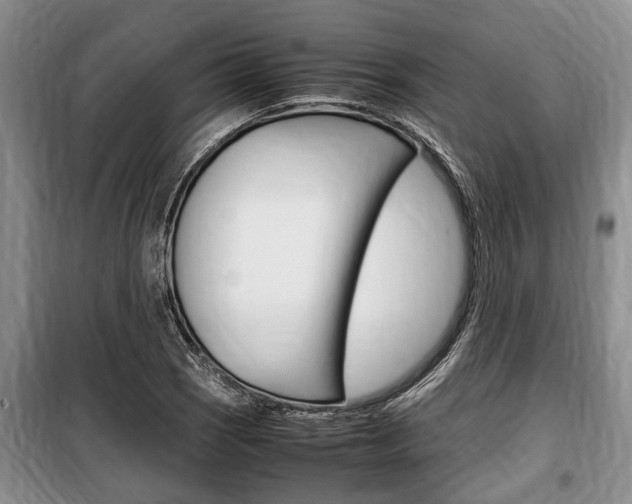 X0000100351121200806060754