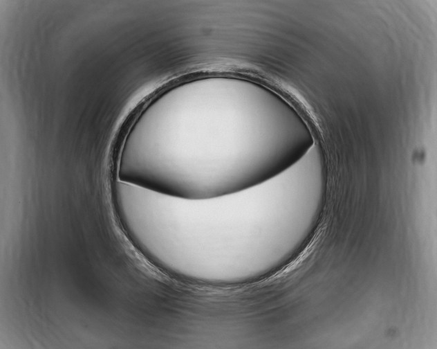 X0000100351122200806060754