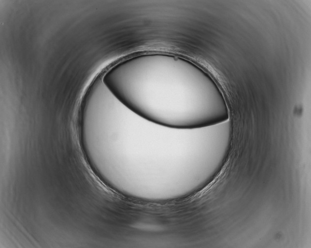 X0000100351123200806060754