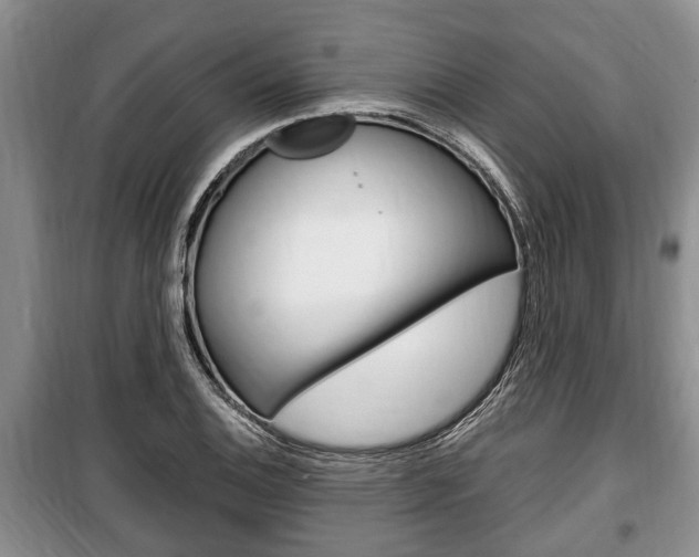 X0000100351124200806060754