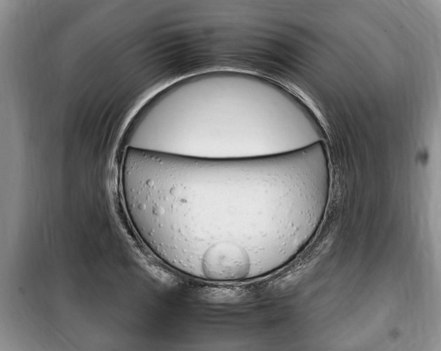 X0000100351125200806060754