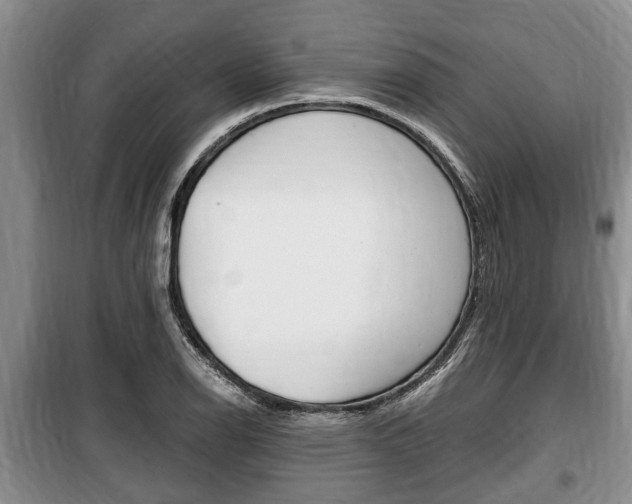 X0000100351126200806060754