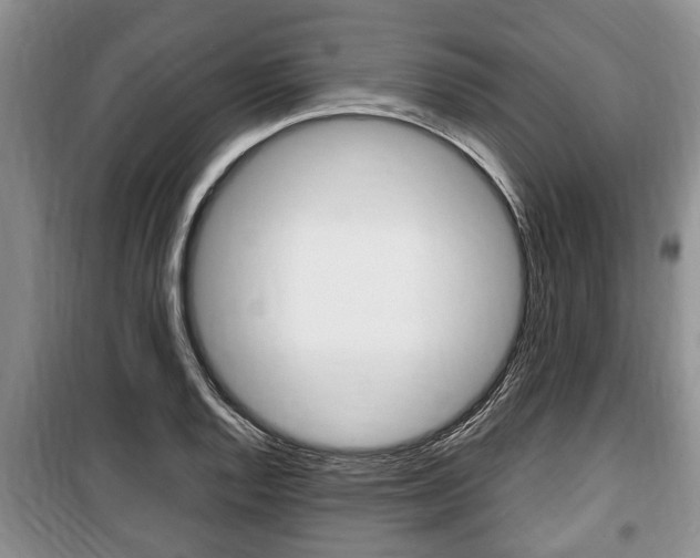 X0000100351128200806060754