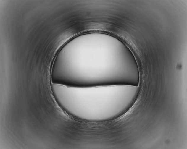 X0000100351129200806060754