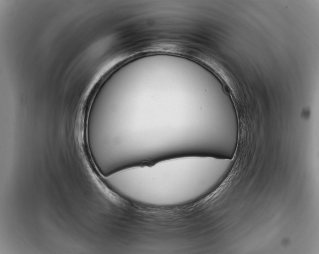 X0000100351131200806060754