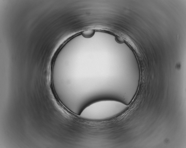 X0000100351132200806060754