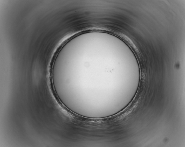 X0000100351133200806060754