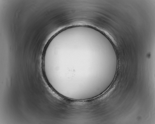 X0000100351134200806060754