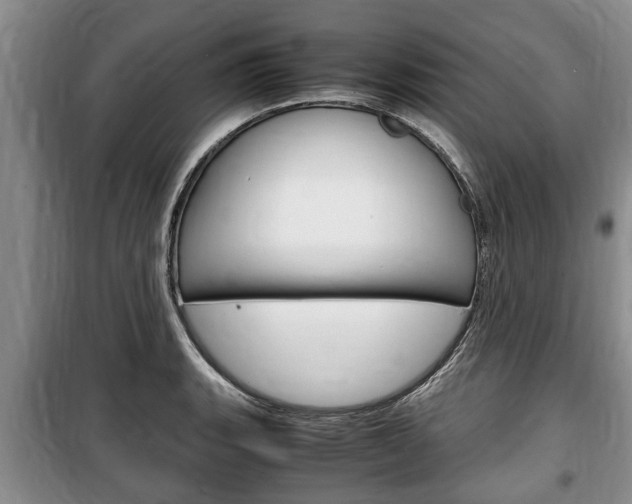 X0000100351135200806060754