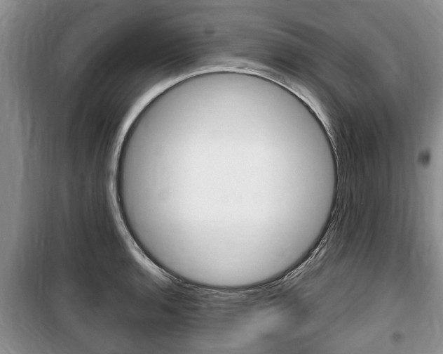 X0000100351136200806060754