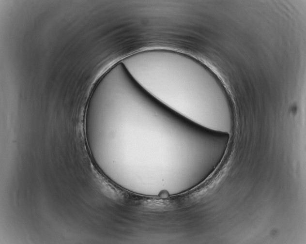 X0000100351137200806060754