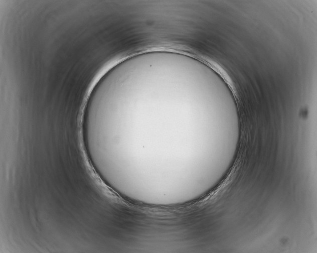 X0000100351138200806060754