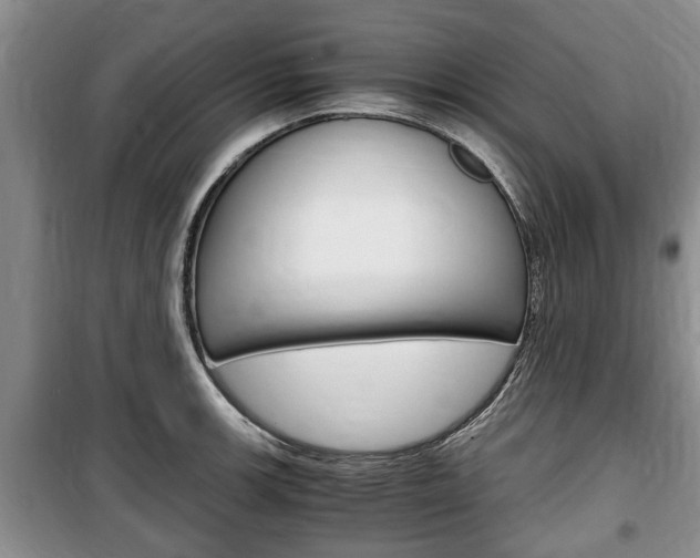 X0000100351139200806060754