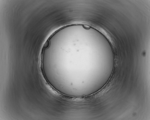 X0000100351140200806060754