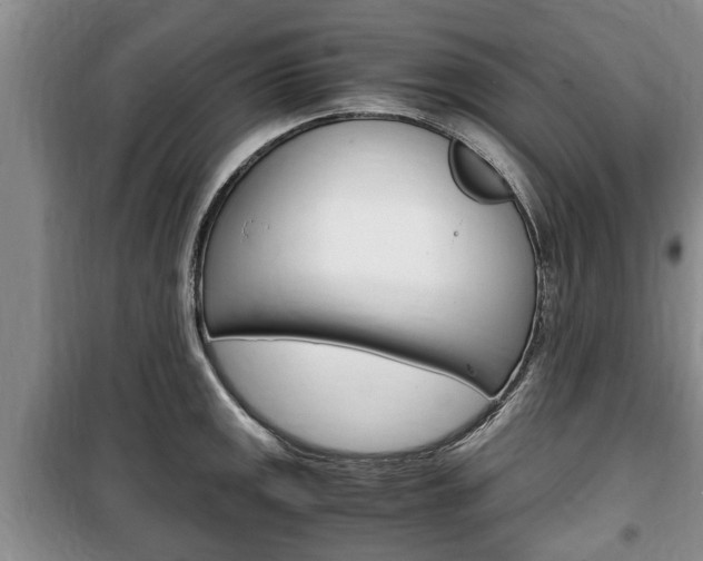 X0000100351141200806060754