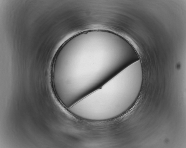 X0000100351142200806060754