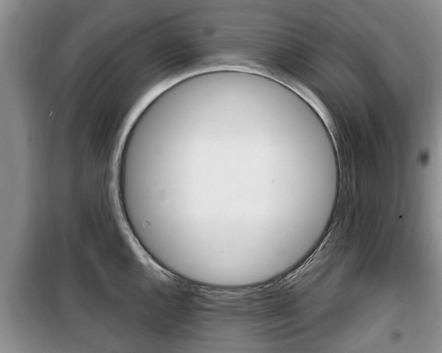 X0000100351144200806060754