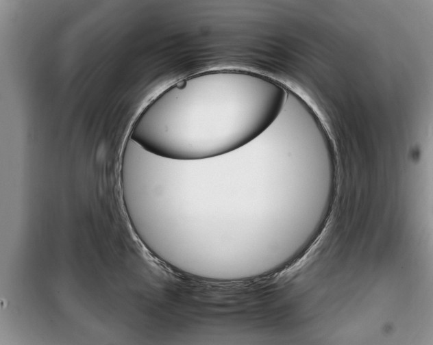 X0000100351145200806060754