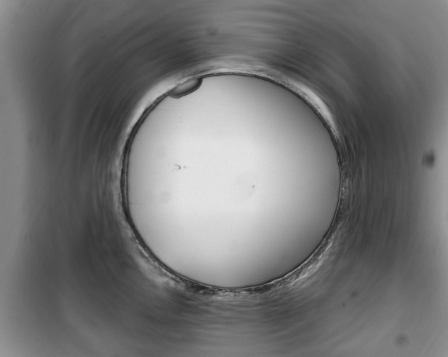 X0000100351146200806060754