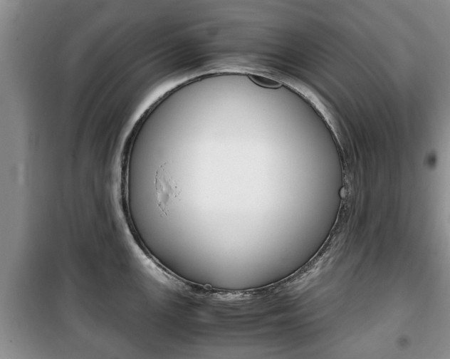 X0000100351147200806060754