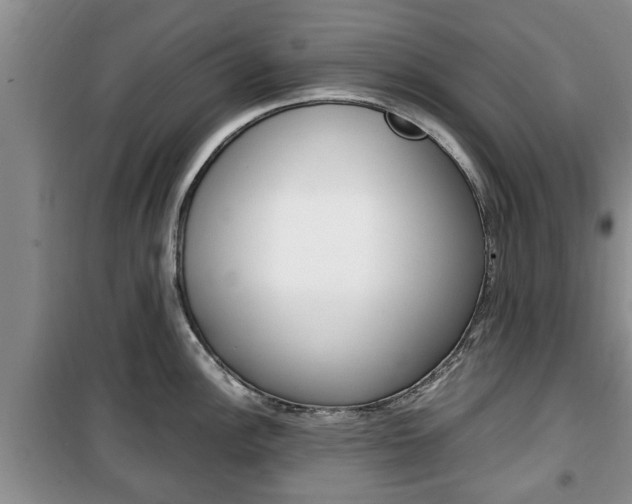 X0000100351148200806060754